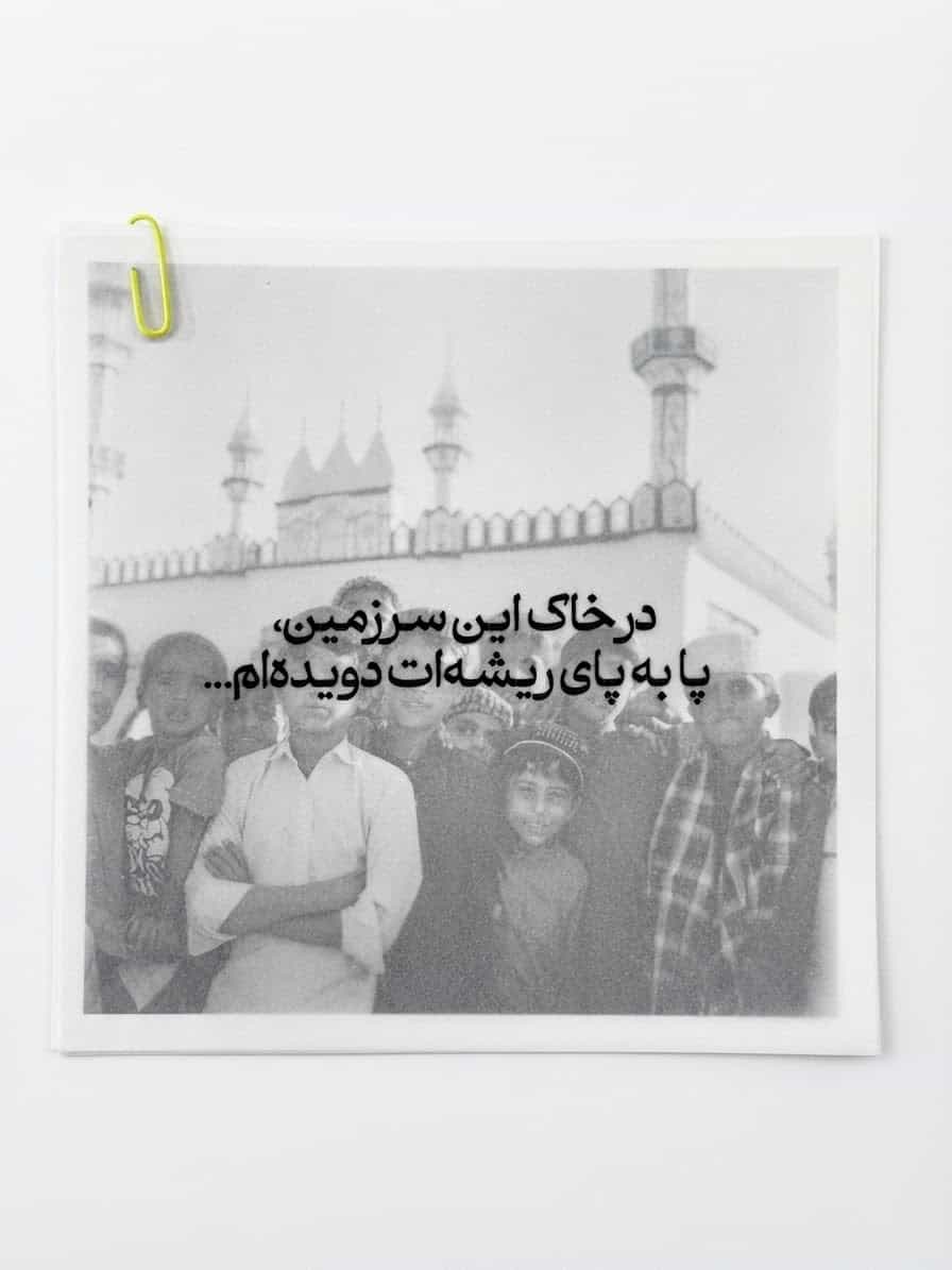 کارت پستال ریشه