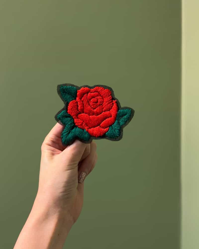 گل سینه رز
