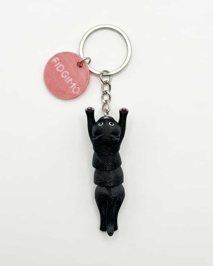 جاکلیدی Black Cat